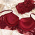 Red Embroidery Gauze Push Up Bra